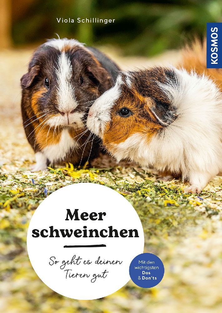 Meerschweinchen (Viola Schillinger)