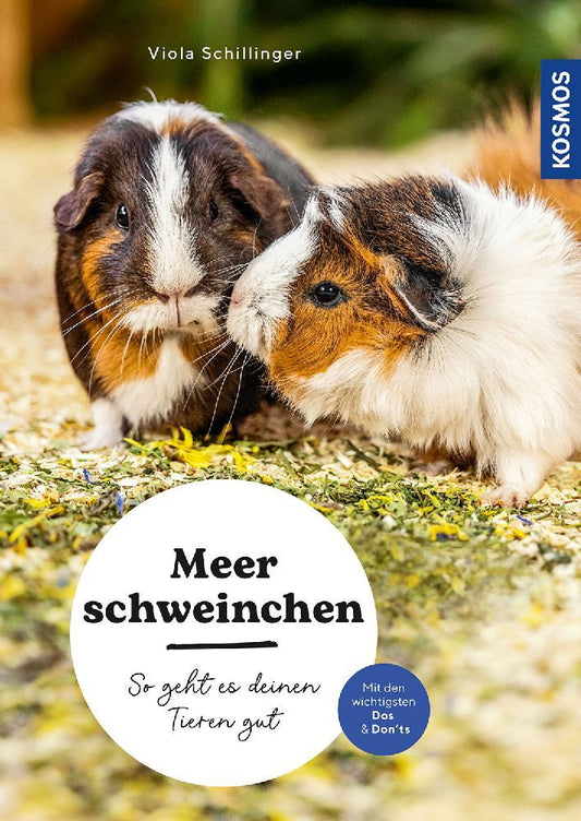 Meerschweinchen (Viola Schillinger)