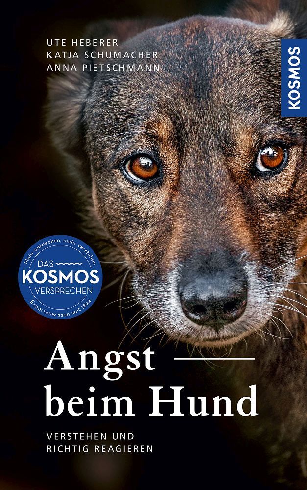 Angst beim Hund (Ute Heberer)
