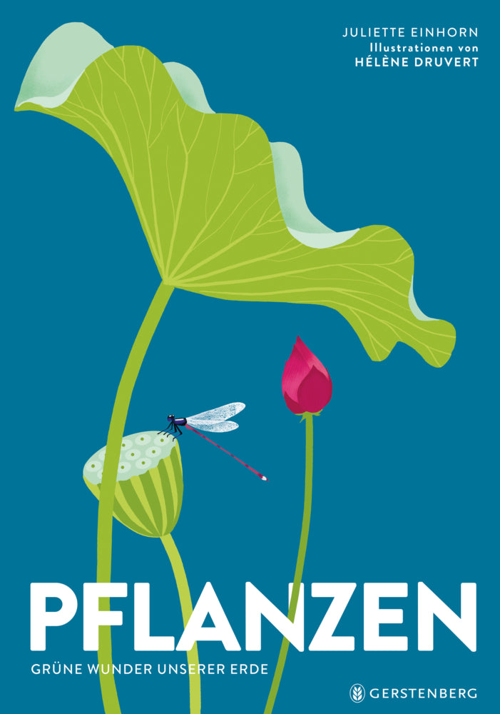 Pflanzen (Hélène Druvert)