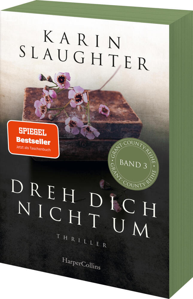 Dreh dich nicht um (Karin Slaughter)
