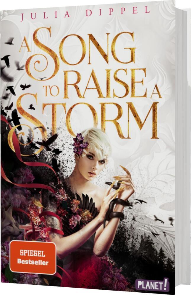 Die Sonnenfeuer-Ballade 1: A Song to Raise a Storm (Julia Dippel)