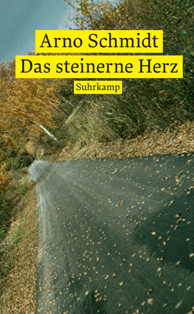 Das steinerne Herz (Arno Schmidt)