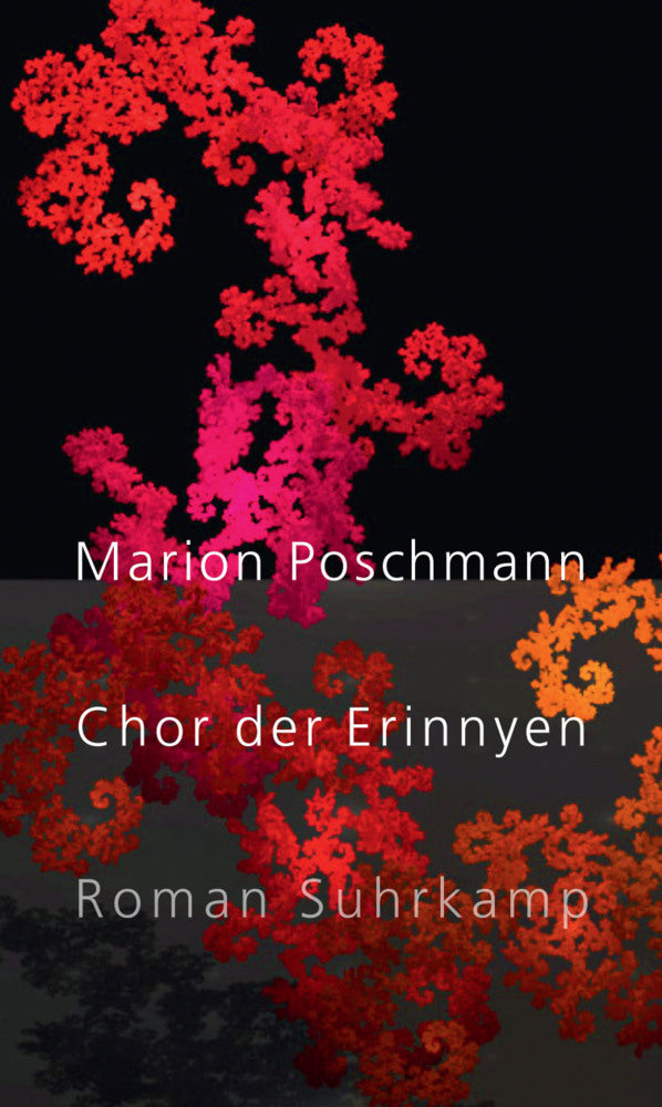 Chor der Erinnyen (Marion Poschmann)