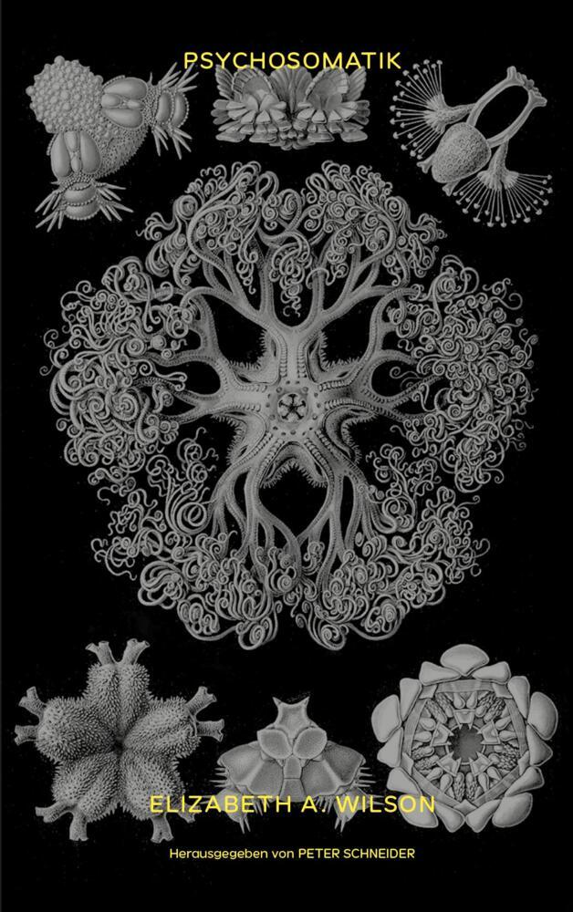 Psychosomatik (Elizabeth A. Wilson)