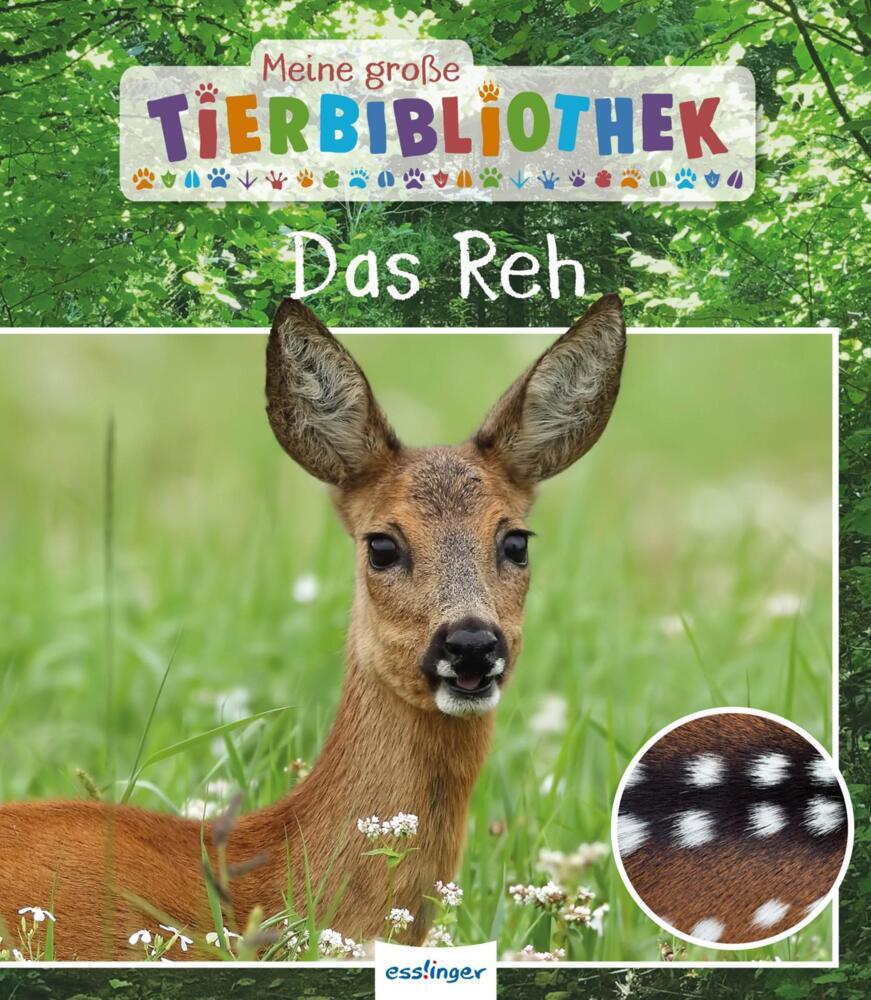 Meine große Tierbibliothek: Das Reh (Jens Poschadel)