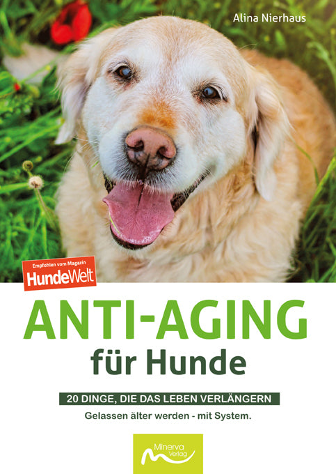 Anti-Aging für Hunde (Alina Nierhaus)