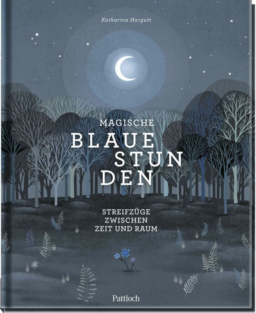 Magische blaue Stunden (Katharina Hargutt)