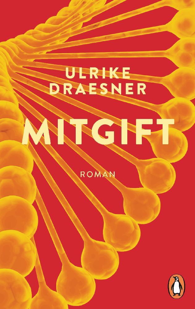 Mitgift (Ulrike Draesner)