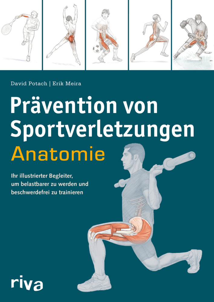 Prävention von Sportverletzungen - Anatomie (David Potach)