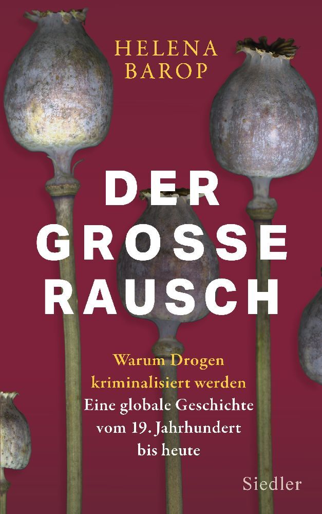 Der große Rausch (Helena Barop)