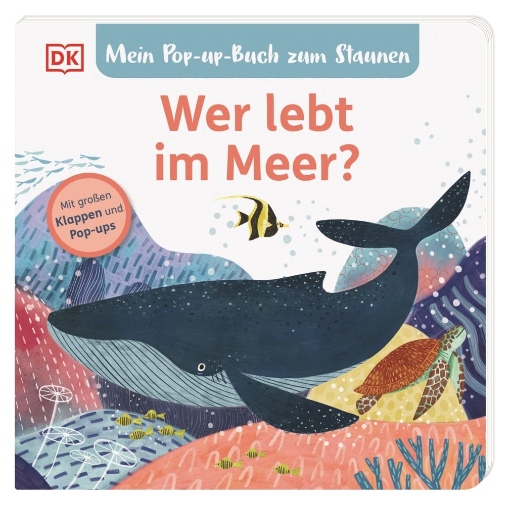 Mein Pop-up-Buch zum Staunen. Wer lebt im Meer? (Sandra Grimm)