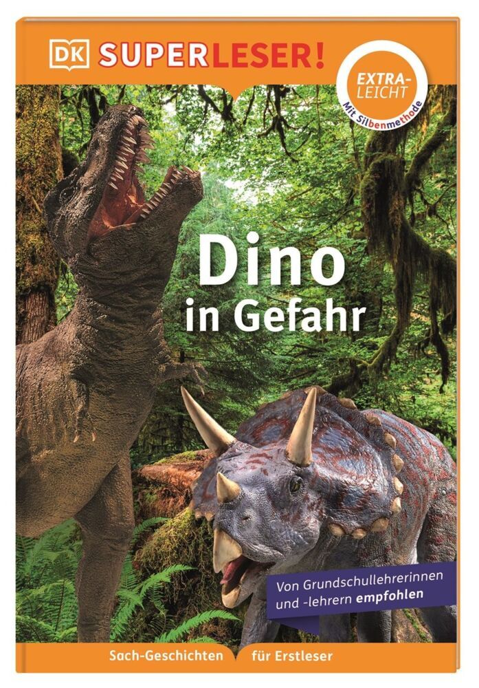 SUPERLESER! Dino in Gefahr (Susanne Böse)