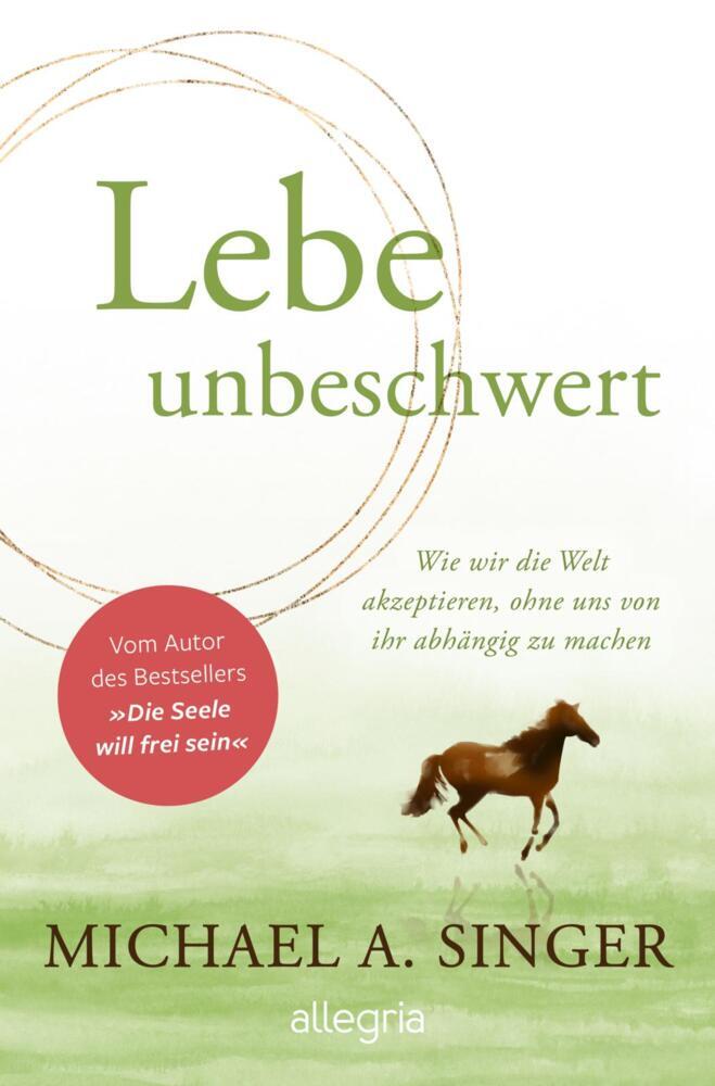 Lebe unbeschwert (Michael A. Singer)