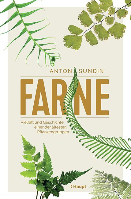 Farne (Anton Sundin)