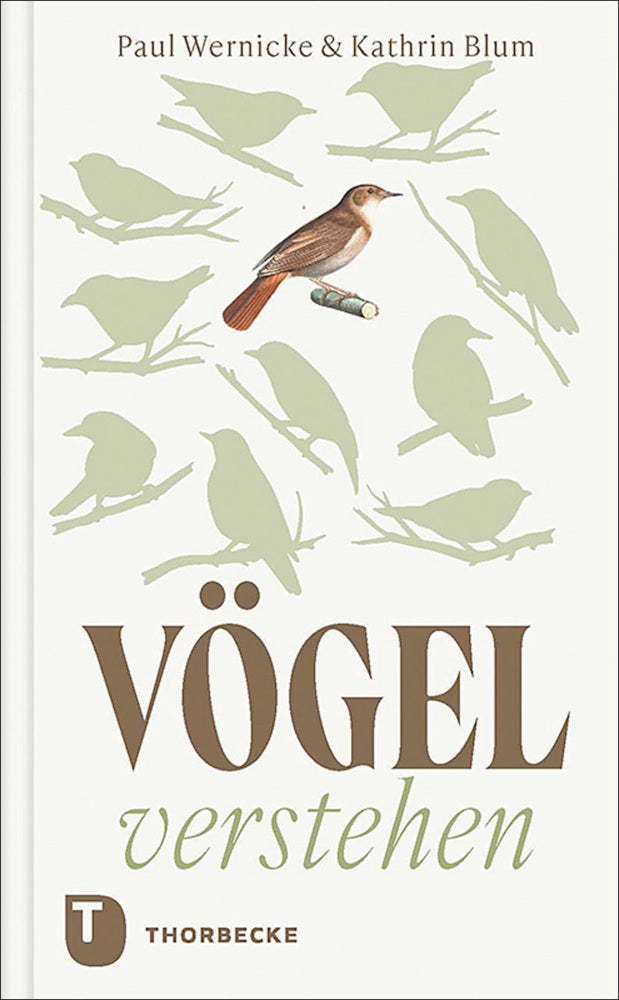 Vögel verstehen (Paul Wernicke)