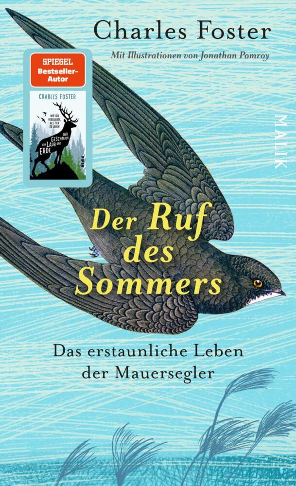Der Ruf des Sommers (Charles Foster)