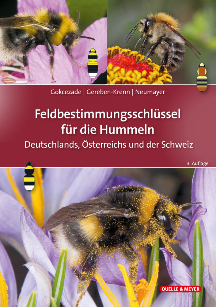 Feldbestimmungsschlüssel für die Hummeln Deutschlands, Österreichs und der Schweiz (Joseph Gokcezade)