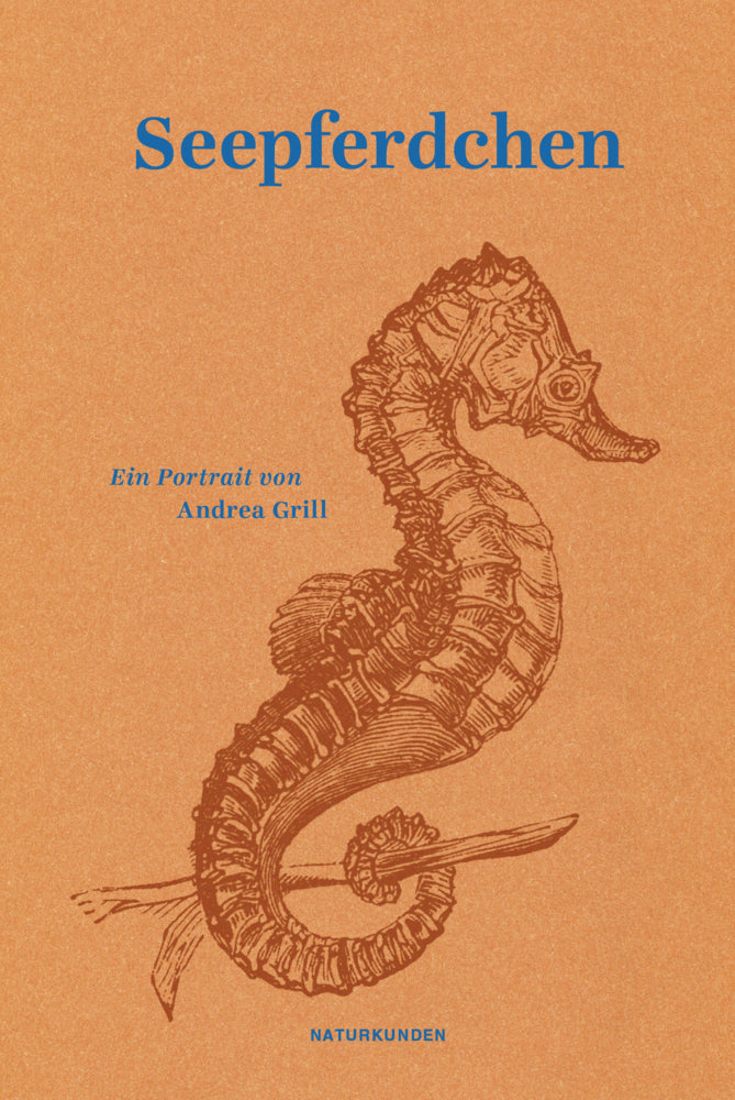 Seepferdchen (Andrea Grill)