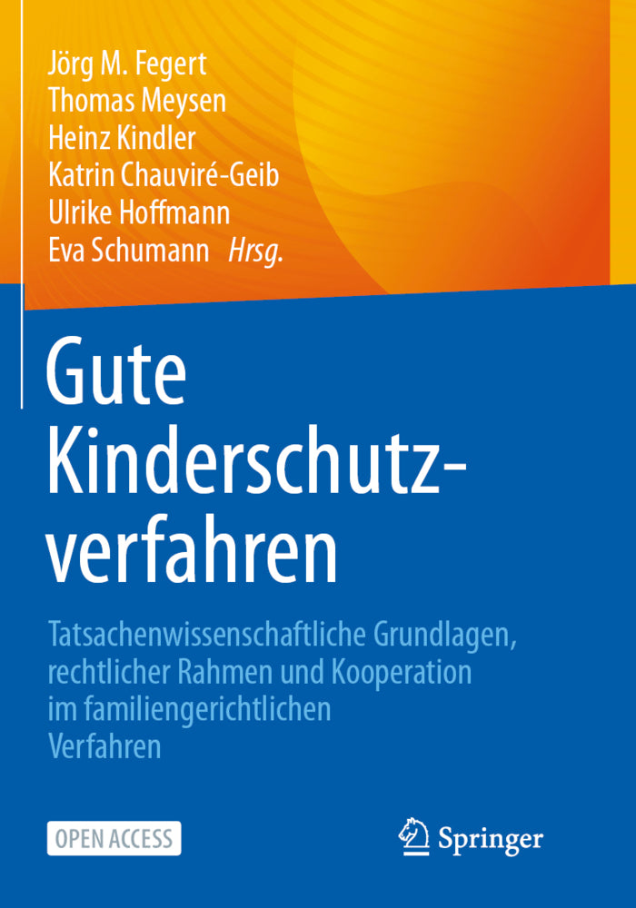 Gute Kinderschutzverfahren (Jörg M. Fegert)