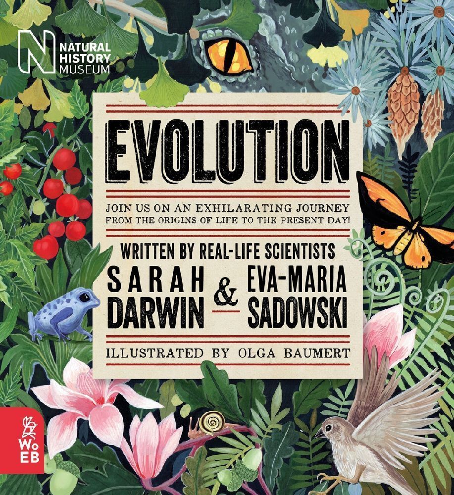 Evolution (Sarah Darwin)