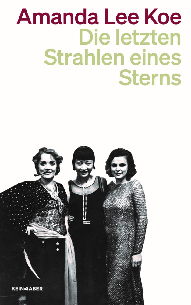 Die letzten Strahlen eines Sterns (Amanda Lee Koe)