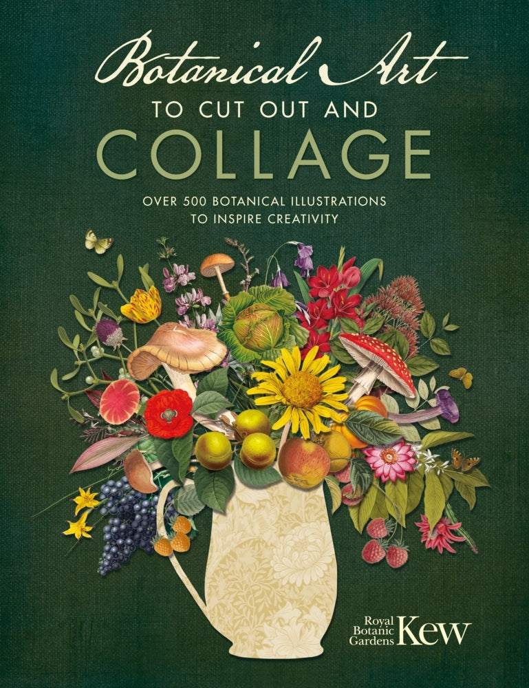 Botanical Art to Cut Out and Collage (Kew Royal Botanic Gardens)
