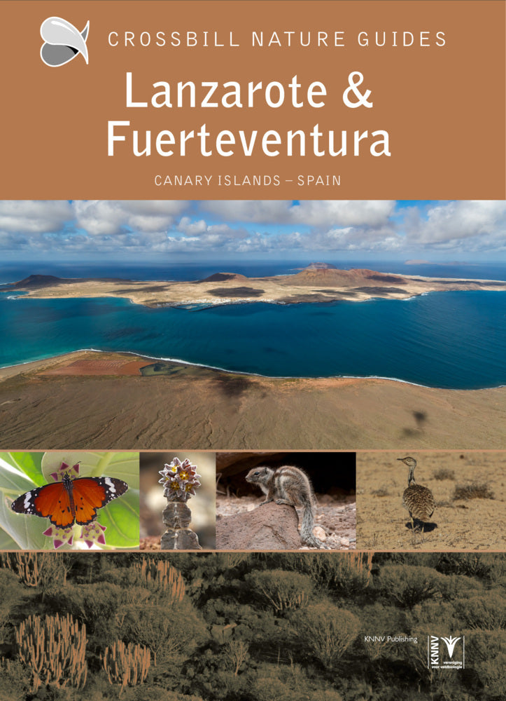 Lanzarote and Fuerteventura (Dirk Hilbers)