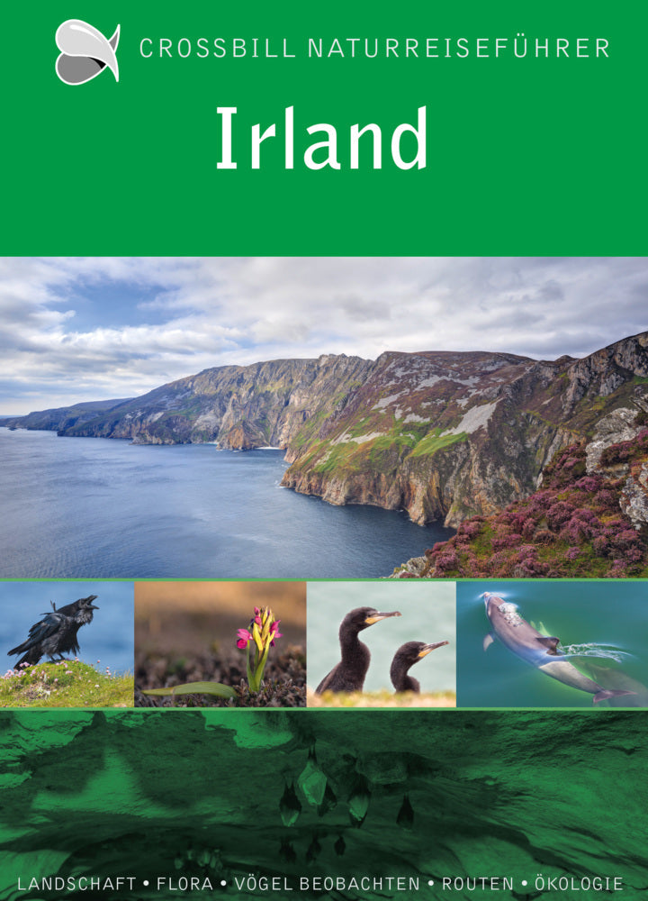 Irland (Carsten Krieger)