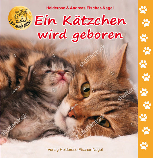 Ein Kätzchen wird geboren (Heiderose Fischer-Nagel)