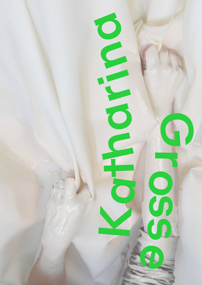 Katharina Grosse (Klaus Albrecht Schröder)