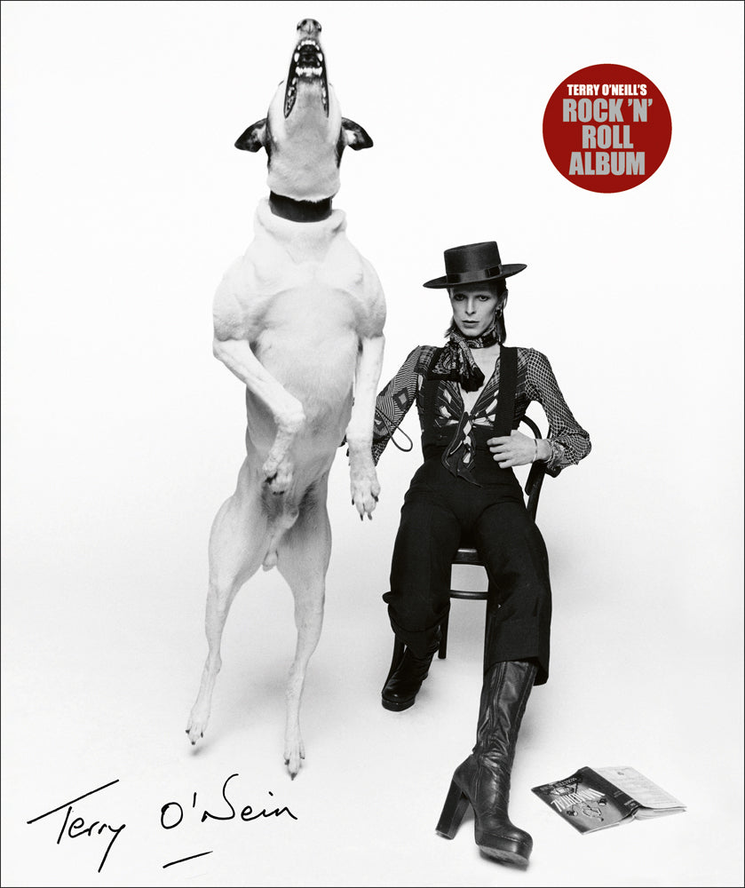 Terry O'Neill's Rock 'n' Roll Album (Terry O'Neill)