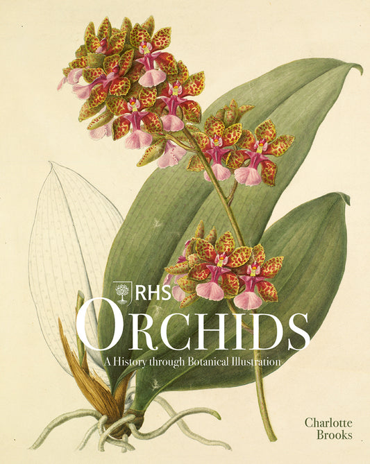 RHS Orchids (Charlotte Brooks)