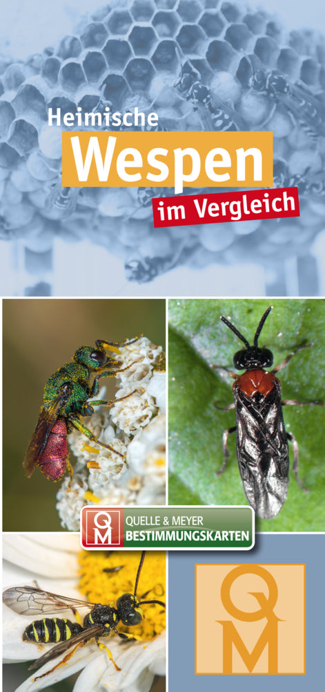 Heimische Wespen (Quelle & Meyer Verlag)