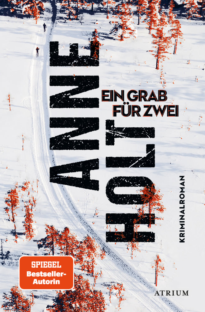 Ein Grab für zwei (Anne Holt)