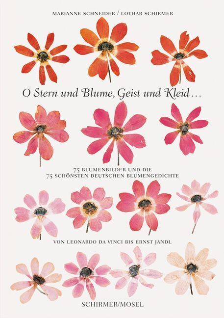 O Stern und Blume, Geist und Kleid... (Marianne Schneider)