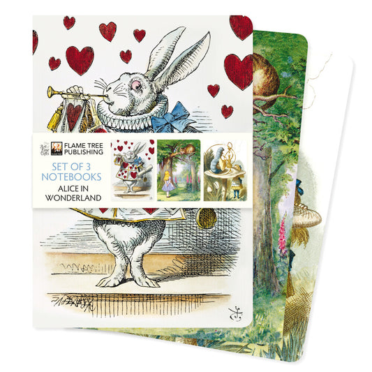 Dreier Set DIN-A5-Format-Notizbücher: Alice im Wunderland (Flame Tree Publishing)