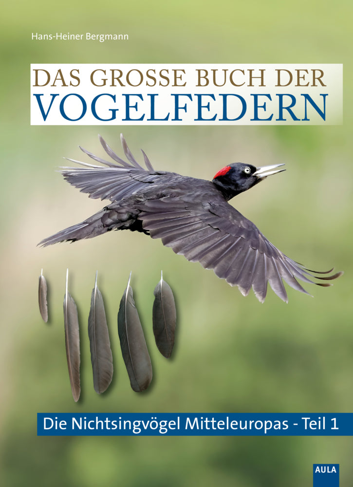 Das große Buch der Vogelfedern (Hans-Heiner Bergmann)