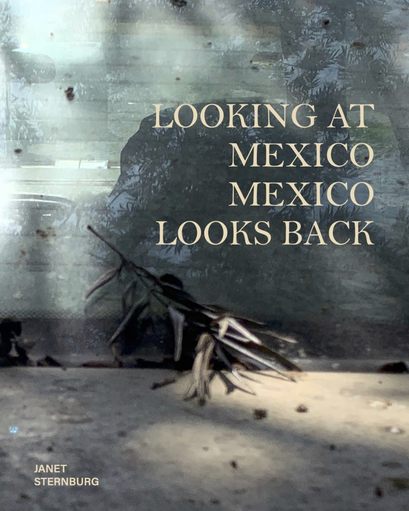 Looking at Mexico / Mexico Looks Back (Janet Sternburg)