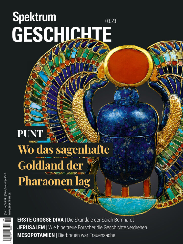 Spektrum Geschichte - Punt (Spektrum Der Wissenschaft)