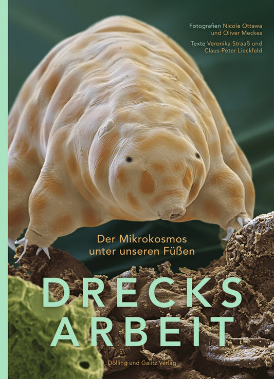 Drecksarbeit (Veronika Straaß)