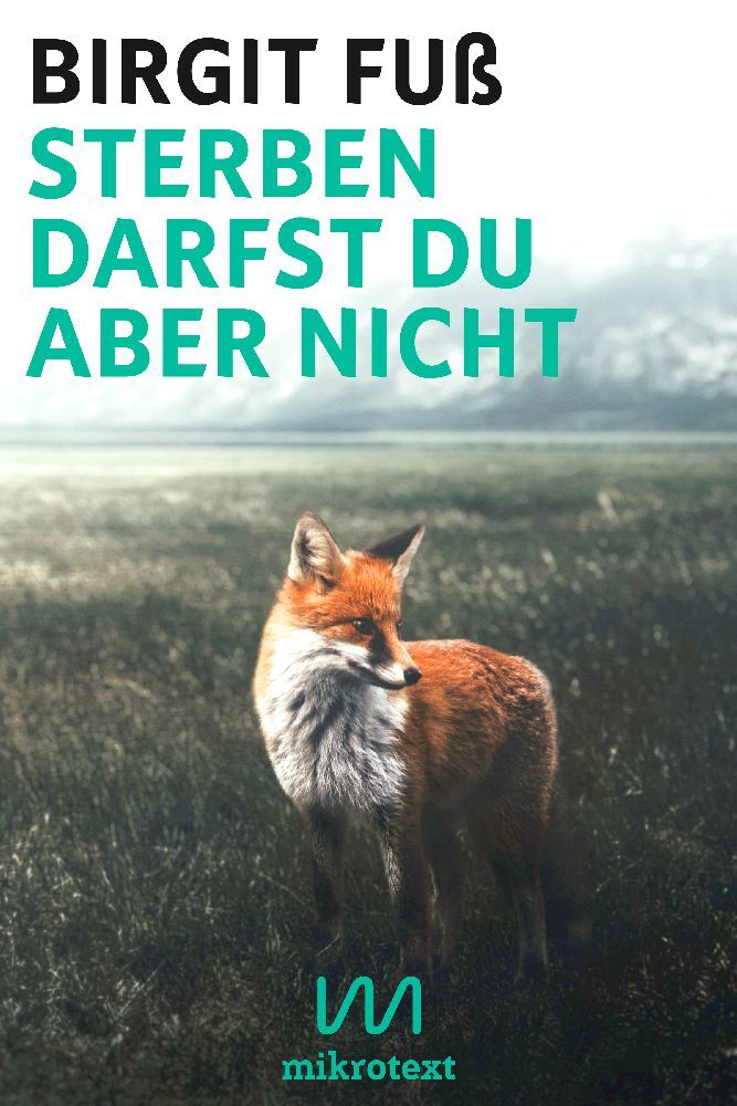 Sterben darfst du aber nicht (Birgit Fuß)