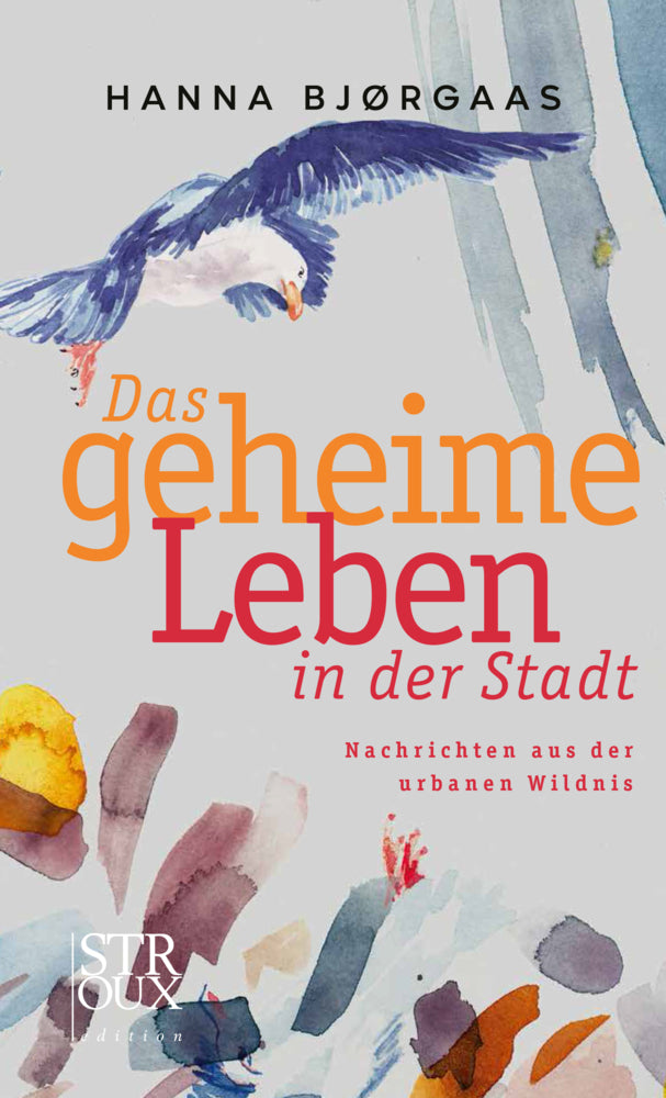 Das geheime Leben in der Stadt (Hanna Bjørgaas)
