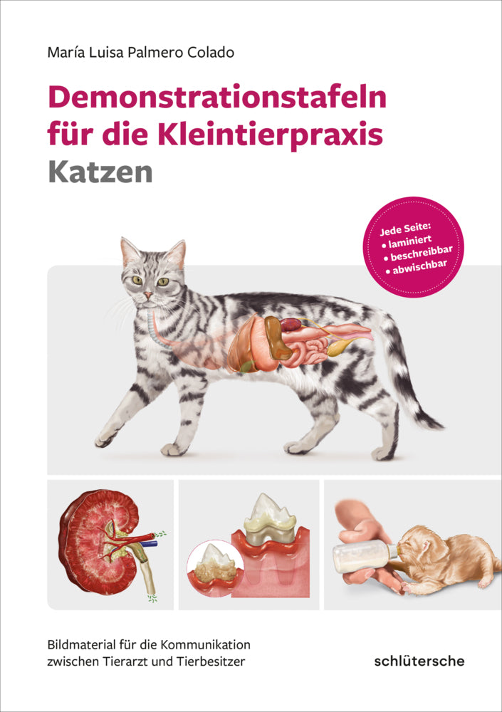 Demonstrationstafeln für die Kleintierpraxis Katzen (María Luisa Palmero Colado)