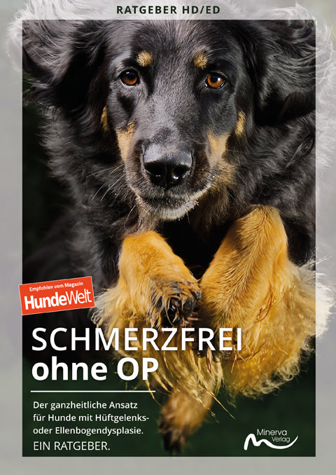 Schmerzfrei ohne OP (Minerva Verlag Gmbh & Co. Kg)