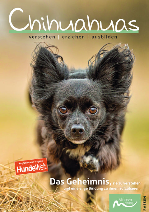 Chihuahuas (Claudia De La Motte)