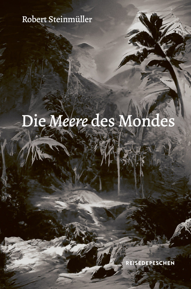 Die Meere des Mondes (Robert Steinmüller)