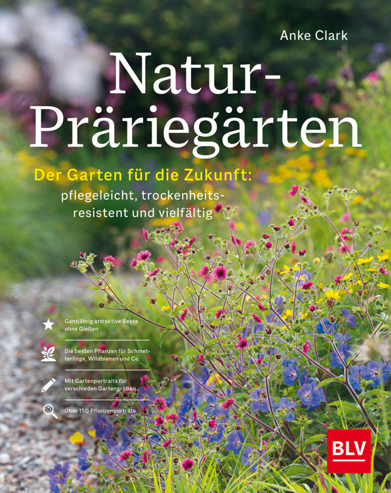 Natur-Präriegärten (Anke Clark)