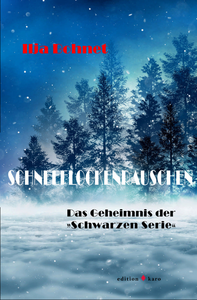 Schneeflockenrauschen (Ilja Bohnet)