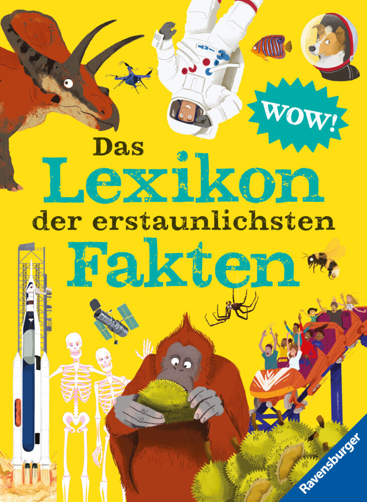 Das Lexikon der erstaunlichsten Fakten (Jacqueline Mccann)
